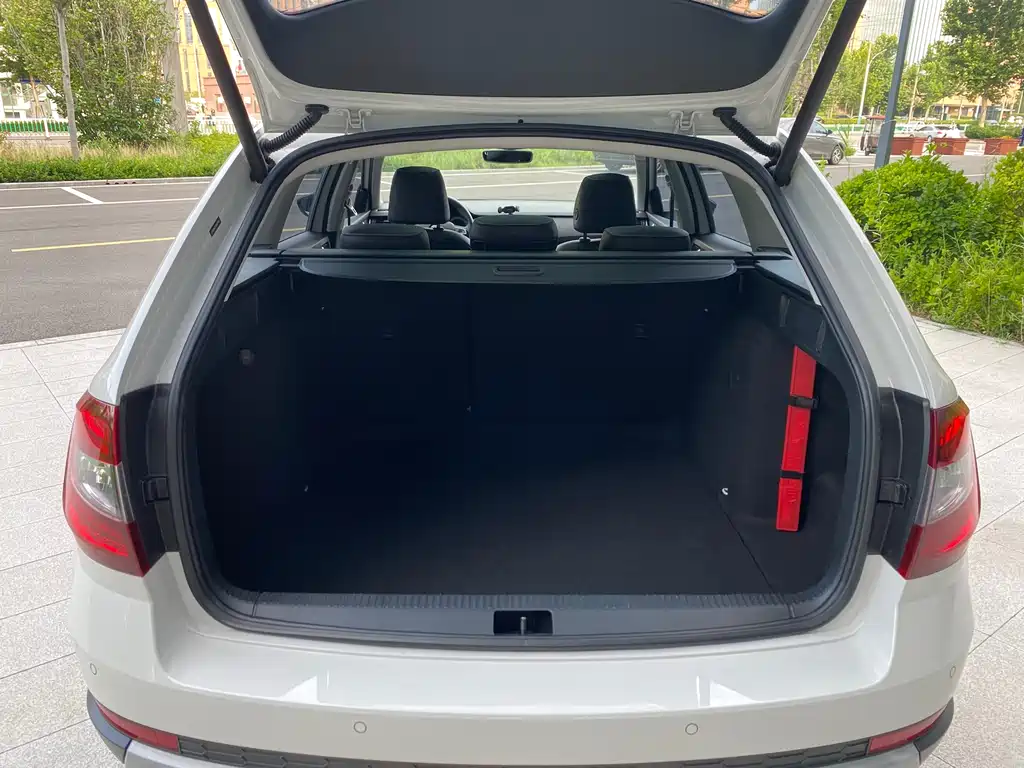 Skoda Octavia 2019 — фото 19