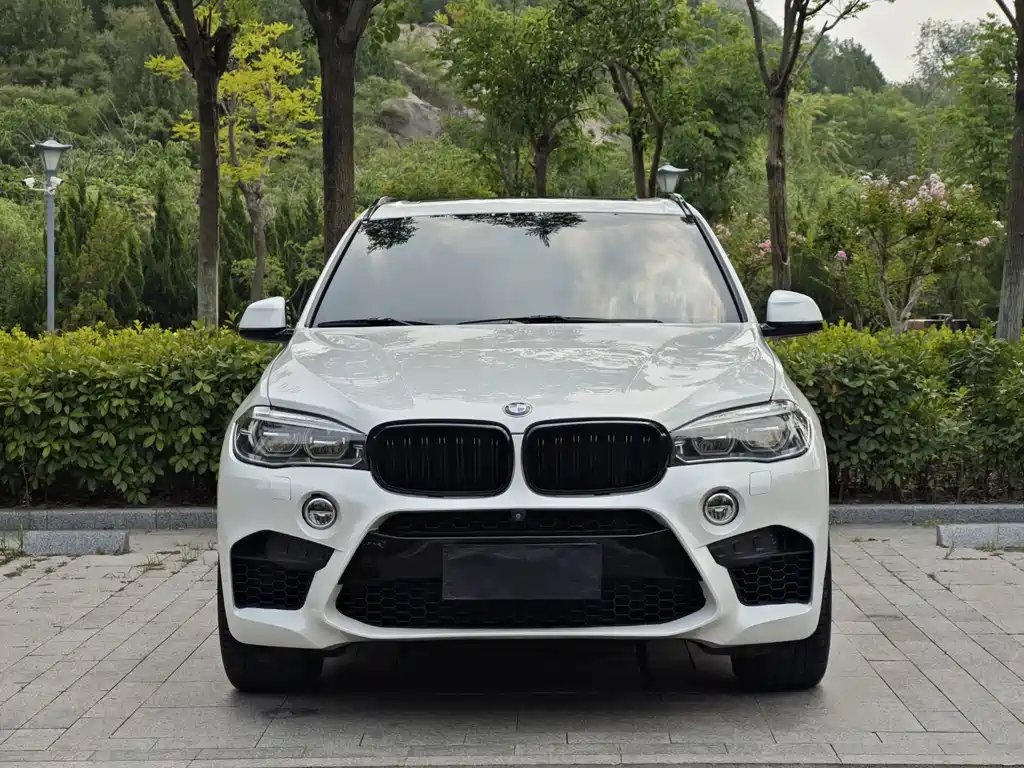 BMW X5 2017 — фото 2