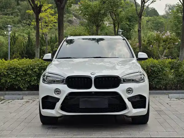 BMW X5 2017