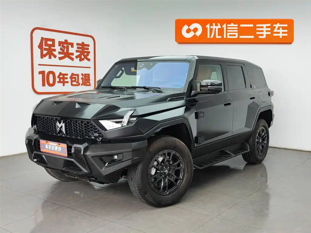 Mengshi 917 2024