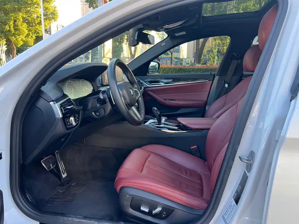 BMW 5 Series 2019