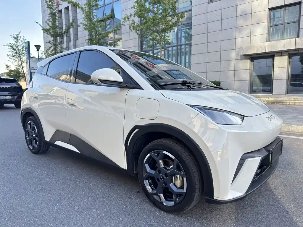 BYD Seagull 2025