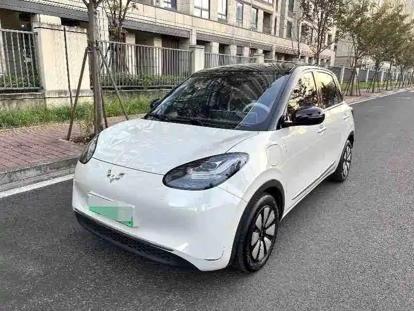 Wuling Bingo 2025
