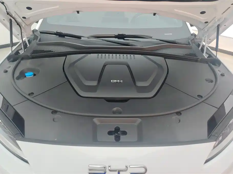 BYD PLUS New Energy 2023 — фото 10