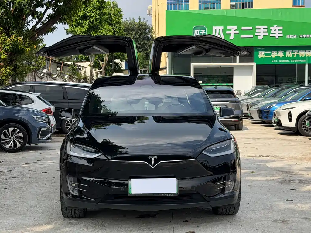 Tesla Model X 2019 — фото 2