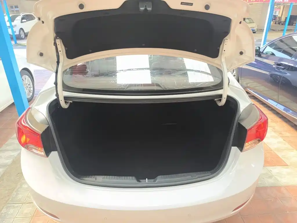 Hyundai Elantra Langdong 2015 — фото 19
