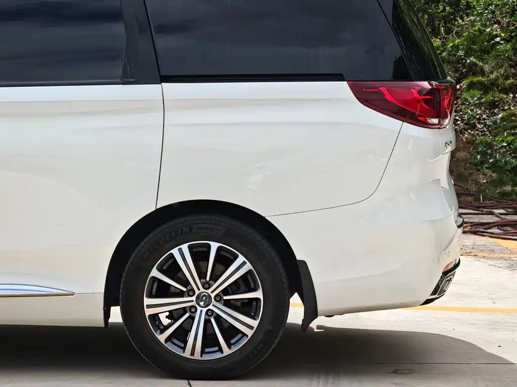 GAC Trumpchi M8 2019 — фото 10