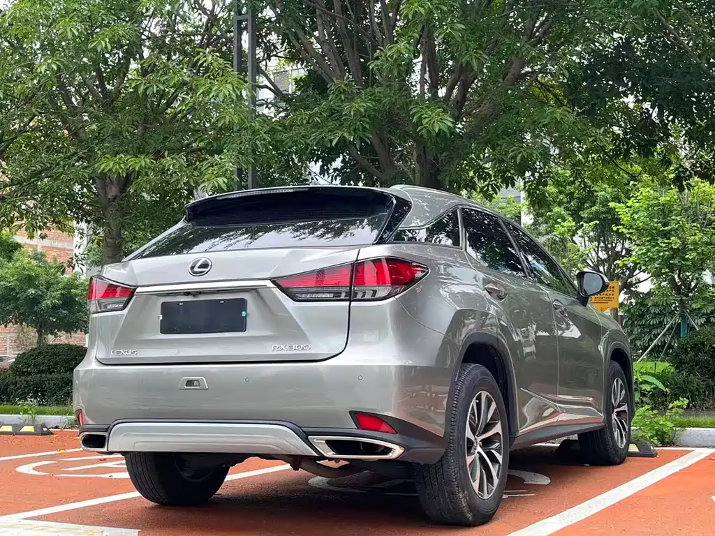 Lexus RX 2020 — фото 9