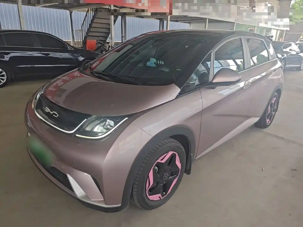 BYD Dolphin 2022
