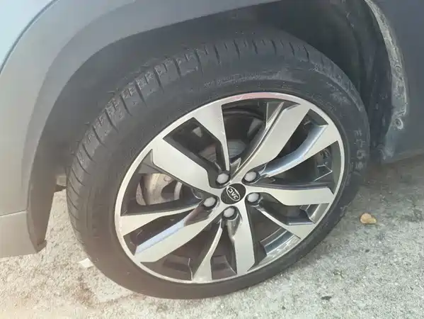 JAC iEVS4 2020