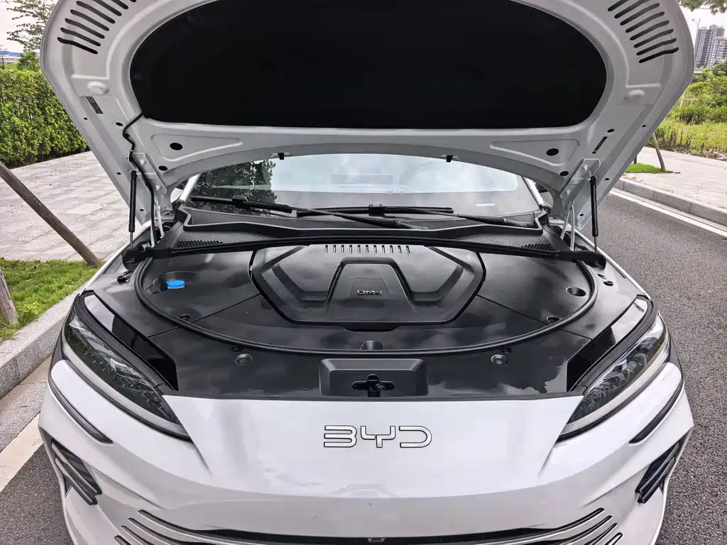 BYD Song PLUS New Energy 2024 — фото 23
