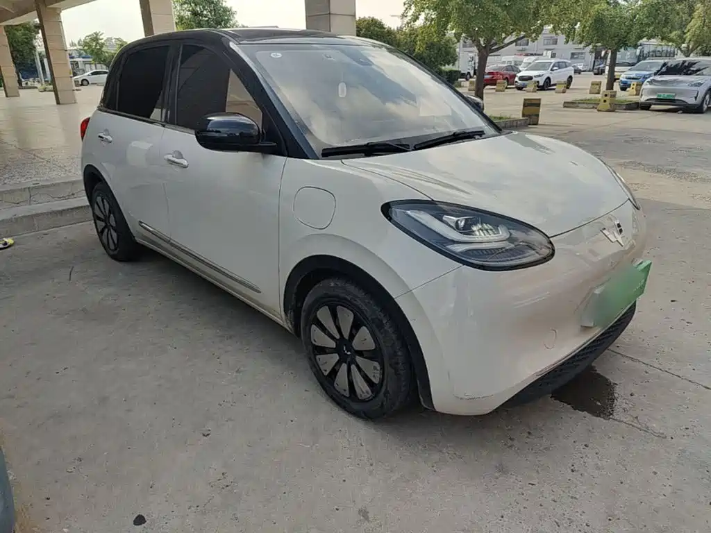 Wuling Bingo 2024