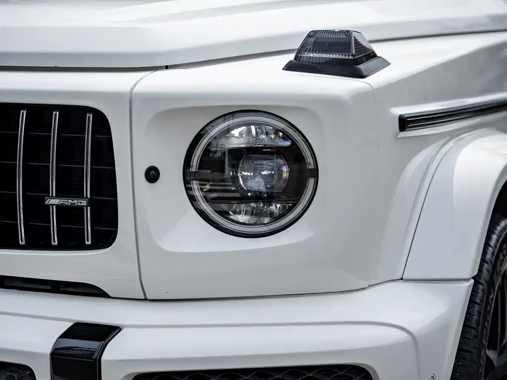 Mercedes-Benz G-Class AMG 2019 — фото 13