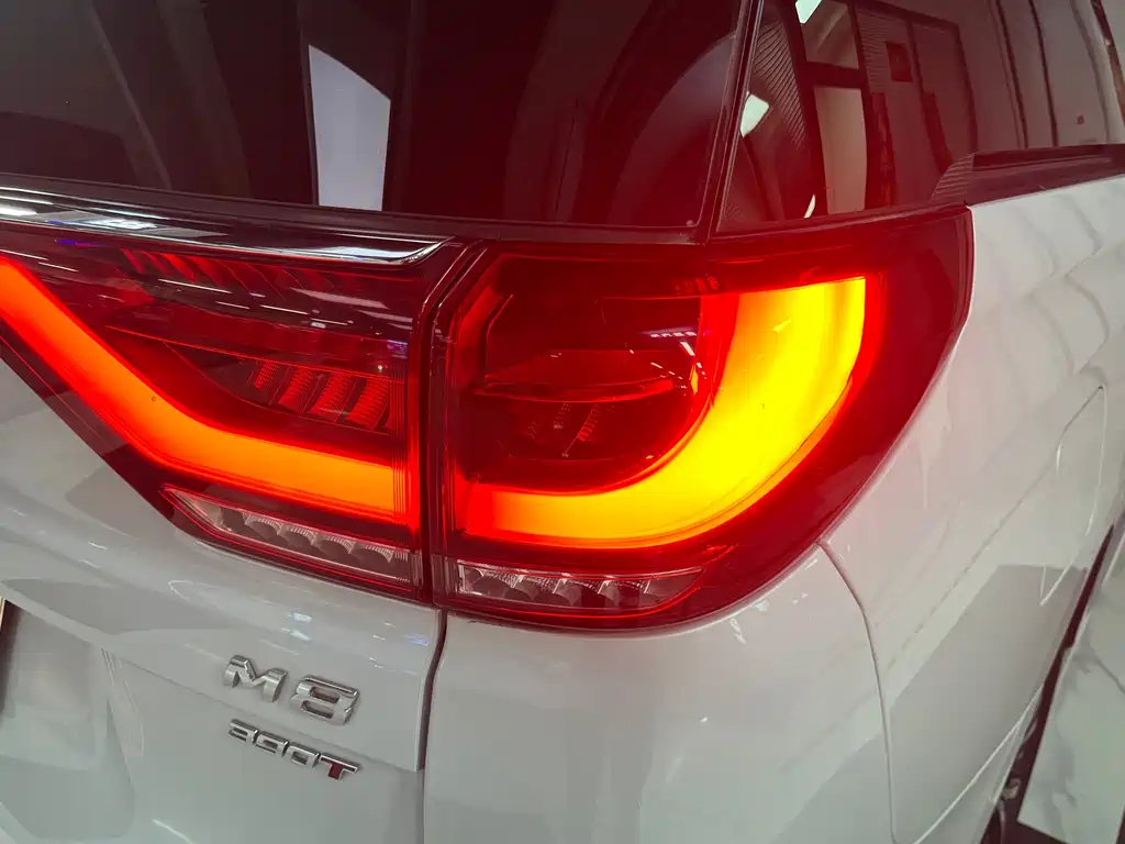 GAC Motor Trumpchi M8 2023 — фото 13