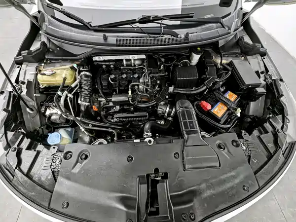 Honda Envix 2019