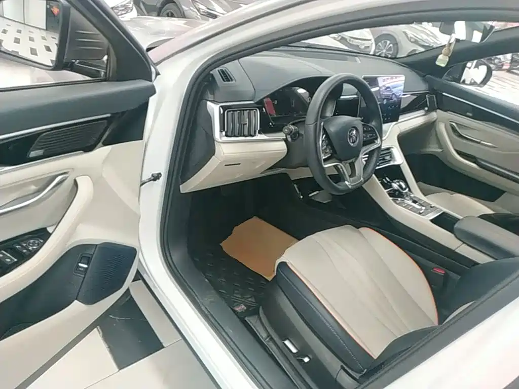 BYD PLUS New Energy 2022 — фото 16