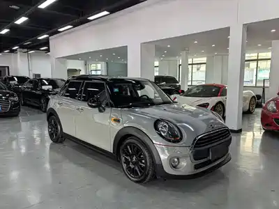 MINI MINI 2018