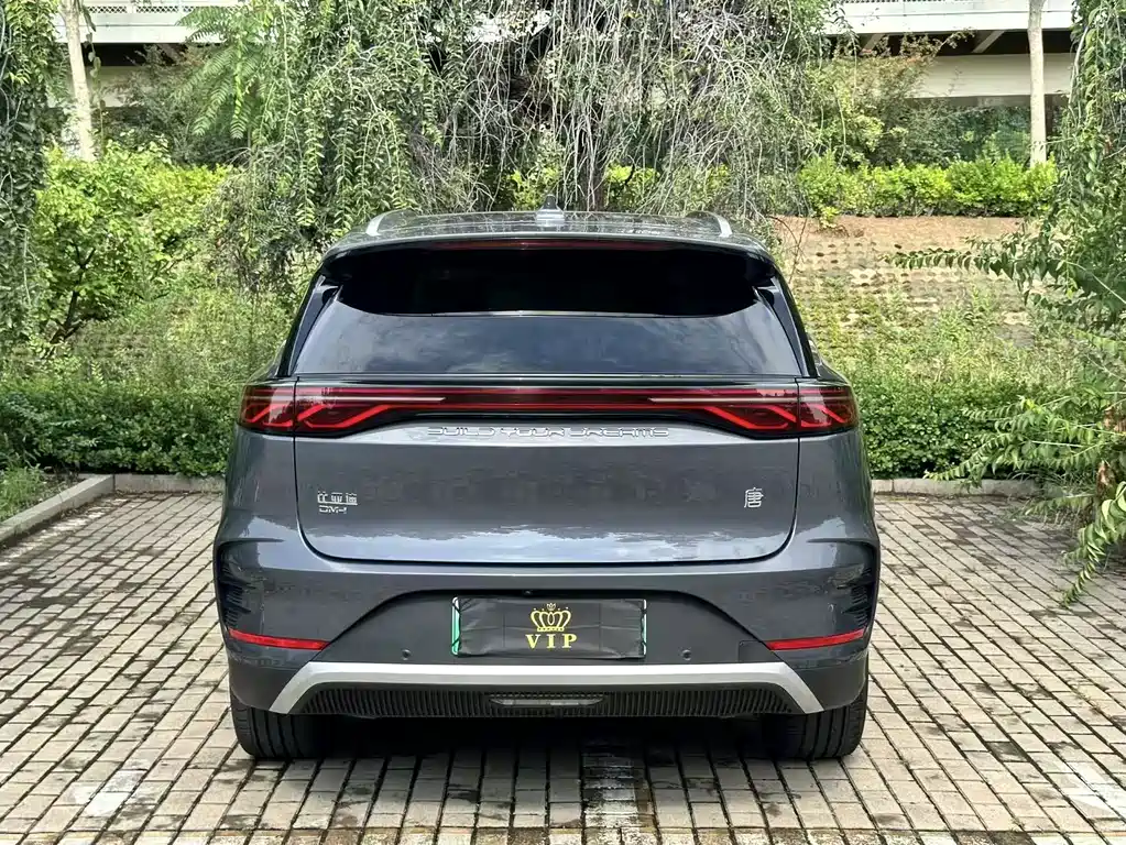 BYD Tang New Energy 2025 — фото 12
