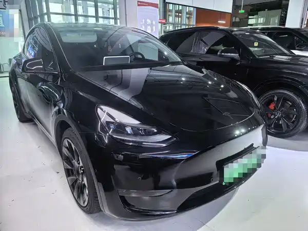 Tesla Model Y 2021