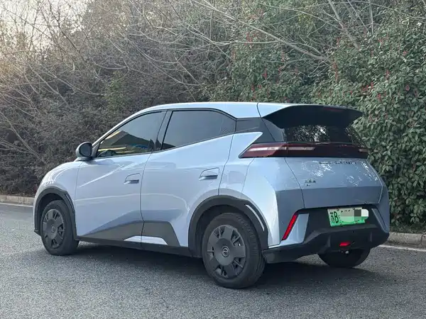 BYD Seagull 2024