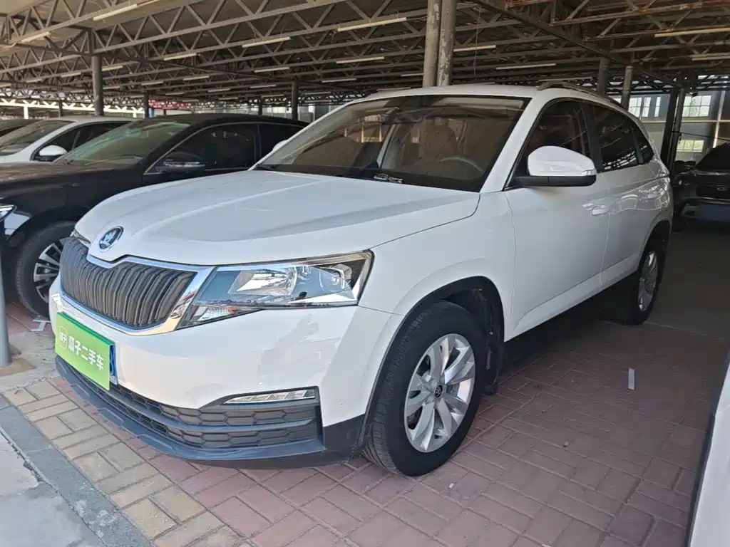 Skoda Kamiq 2021 — фото 1