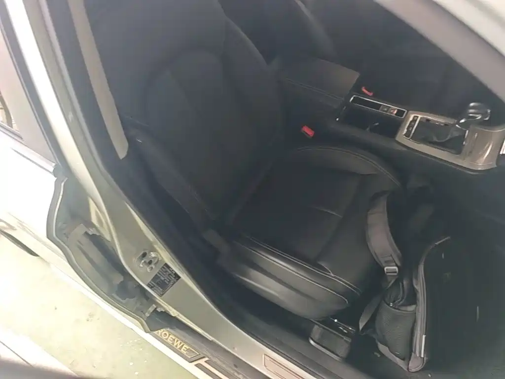 Roewe RX5 New Energy 2020 — фото 25