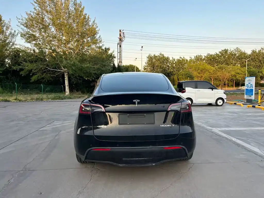Tesla Model Y 2023 — фото 17