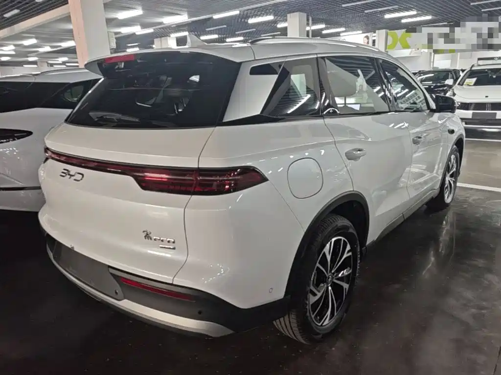 BYD Pro New Energy 2025 — фото 7