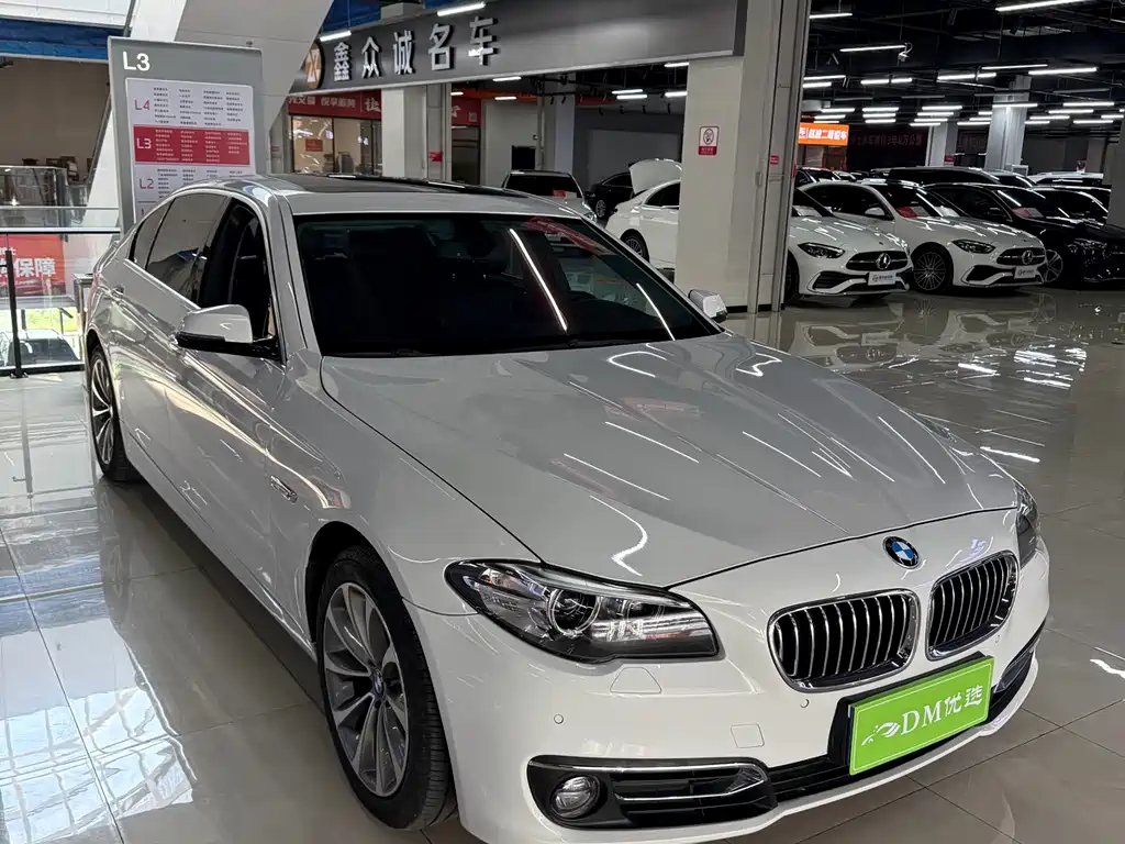 BMW 5 Series 2014 — фото 1