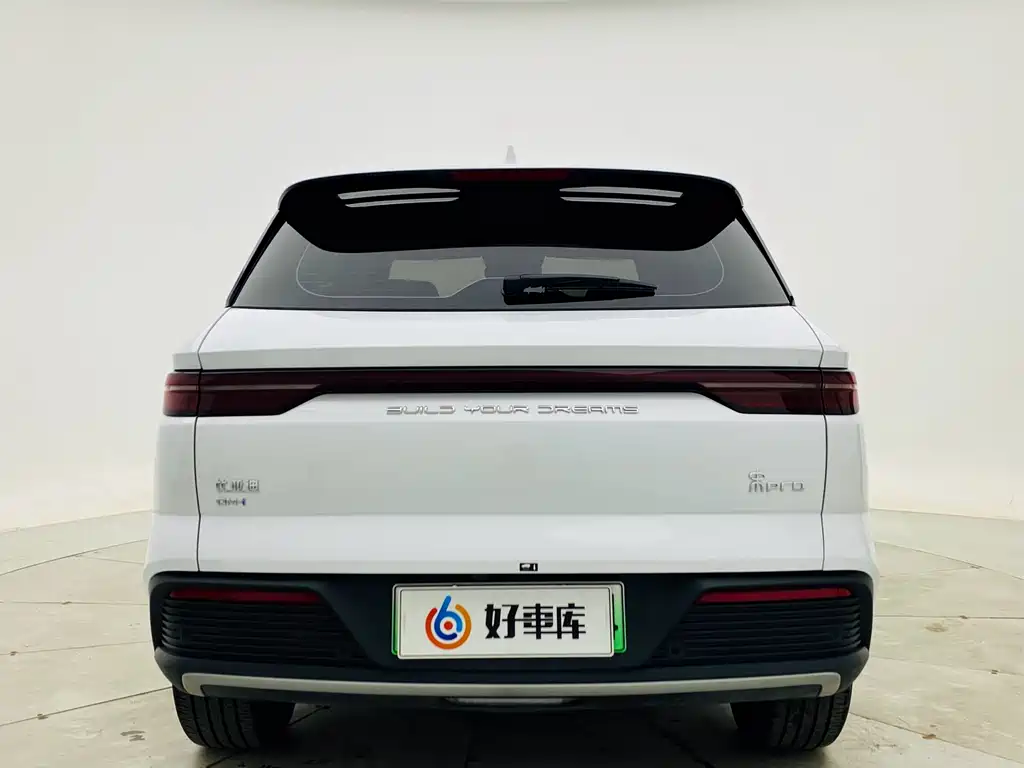 BYD Pro New Energy 2024 — фото 5