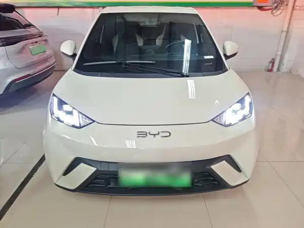 BYD Seagull 2024