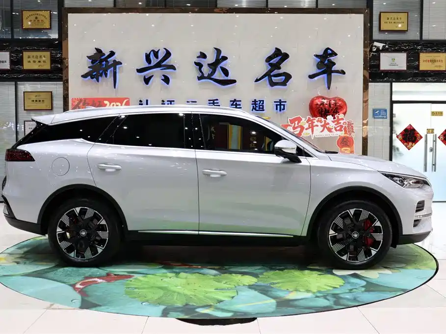 BYD Tang New Energy 2023 — фото 4