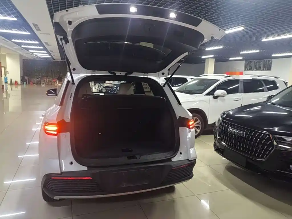 BYD Song Pro New Energy 2024 — фото 19