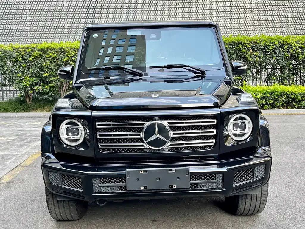 Mercedes-Benz G-Class 2019 — фото 2