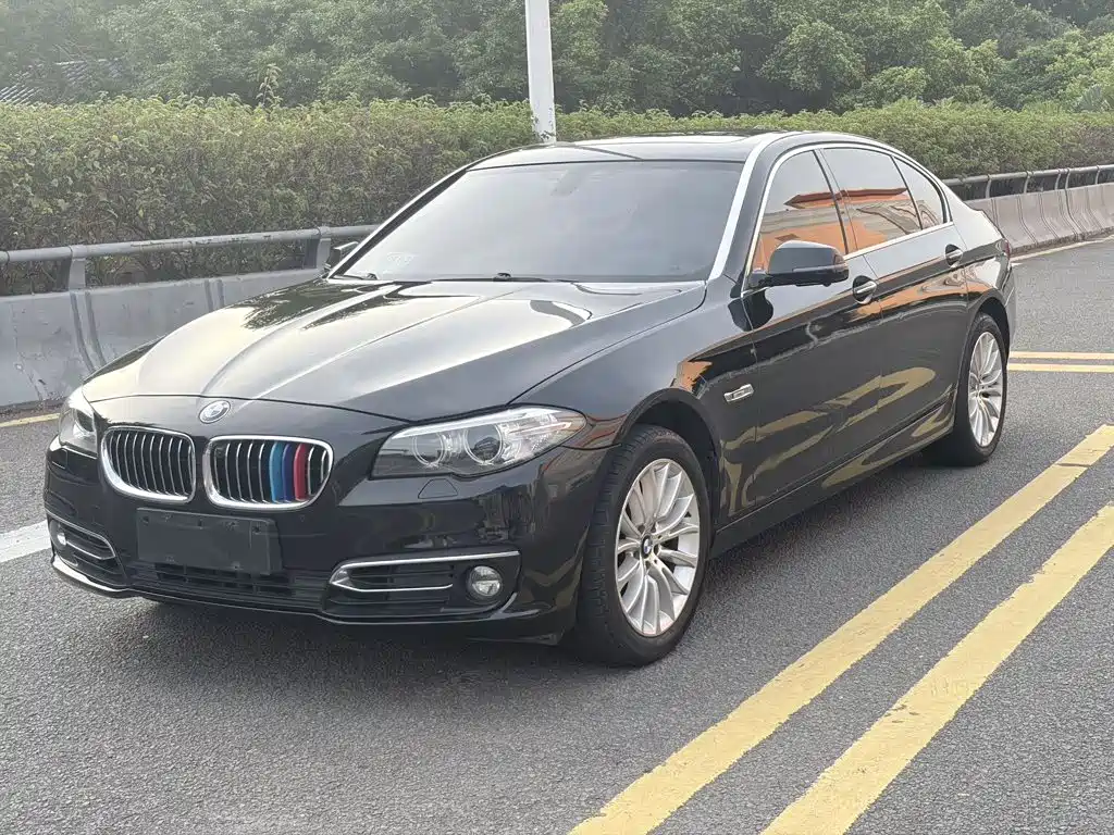 BMW 5 Series 2014 — фото 1