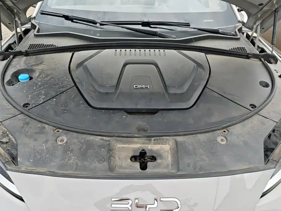 BYD Song PLUS New Energy 2025 — фото 10