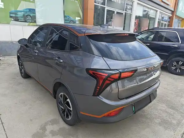 Neta V 2021