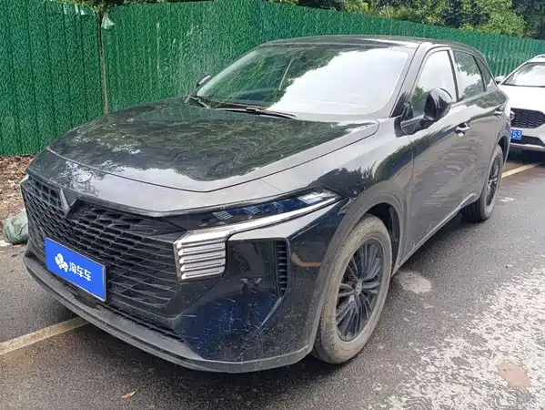 Venucia Big V 2023
