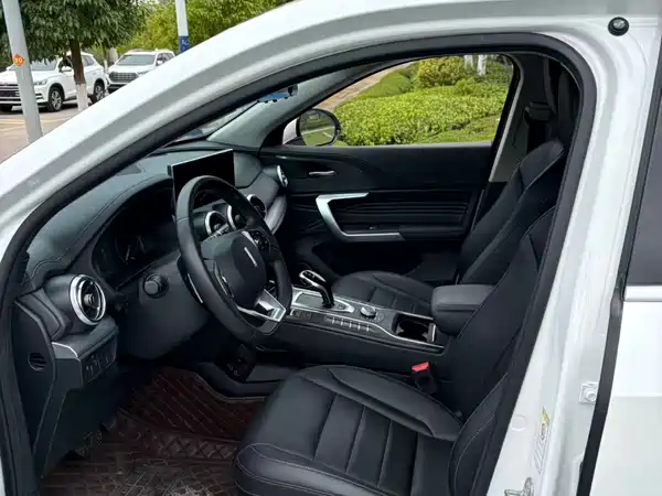 Wey VV5 2020
