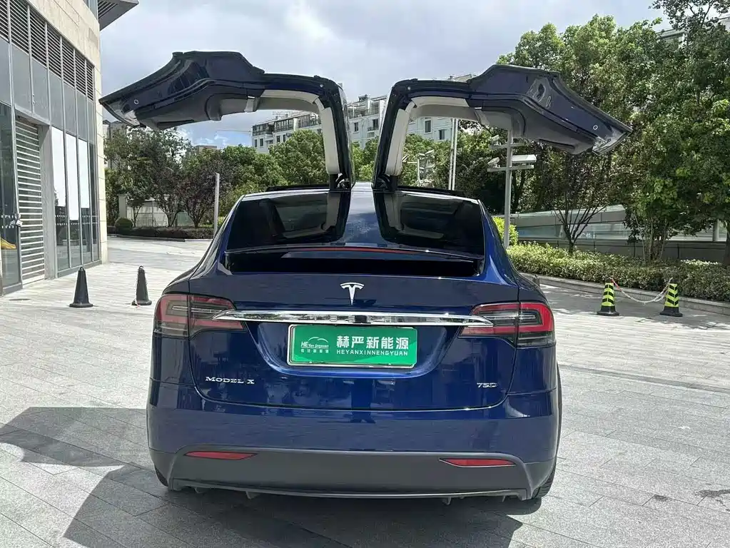 Tesla Model X 2018 — фото 9
