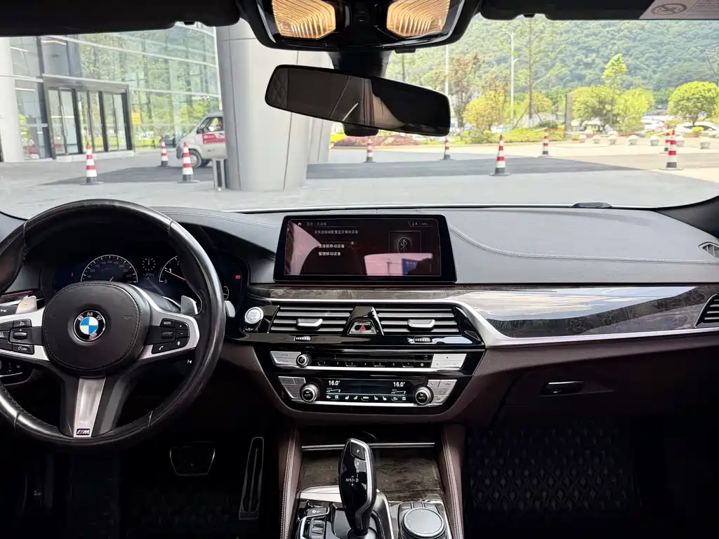 BMW 5 Series 2019 — фото 17