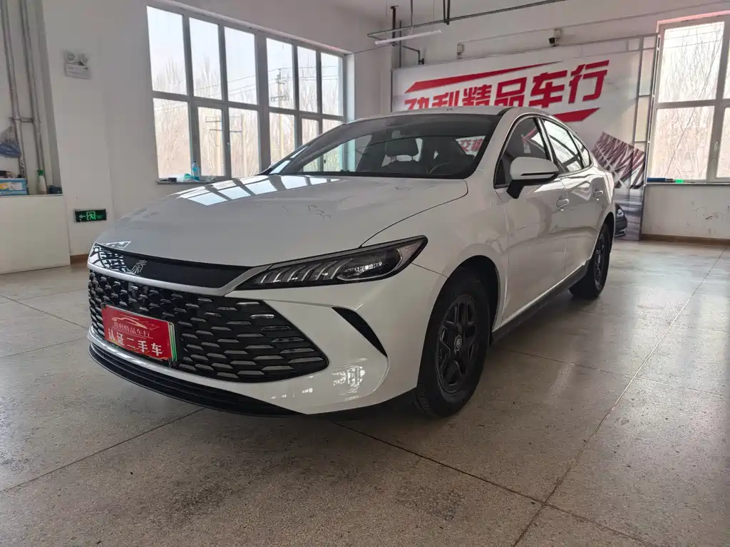BYD Qin PLUS 2025 — фото 1