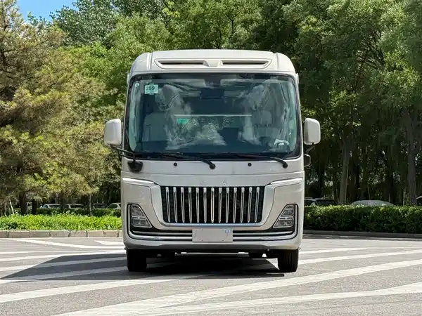 Hongqi Golden Sunflower 2024