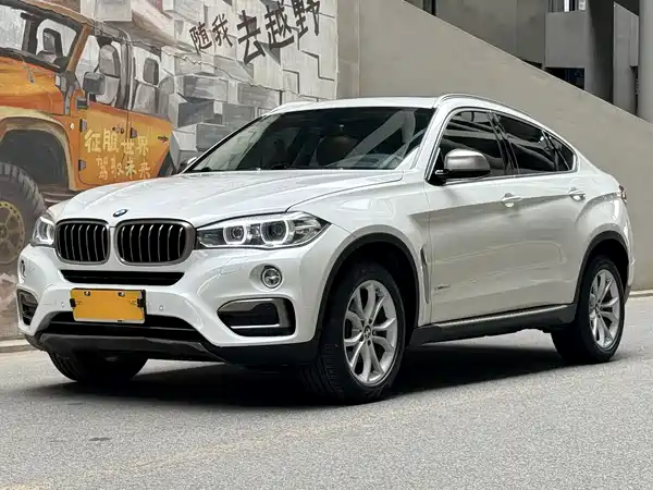 BMW X6 2018