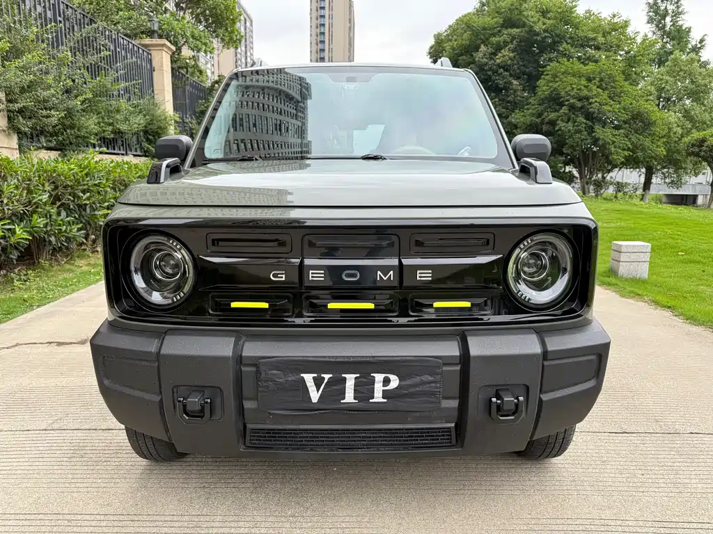 Geely Galaxy Panda 2025