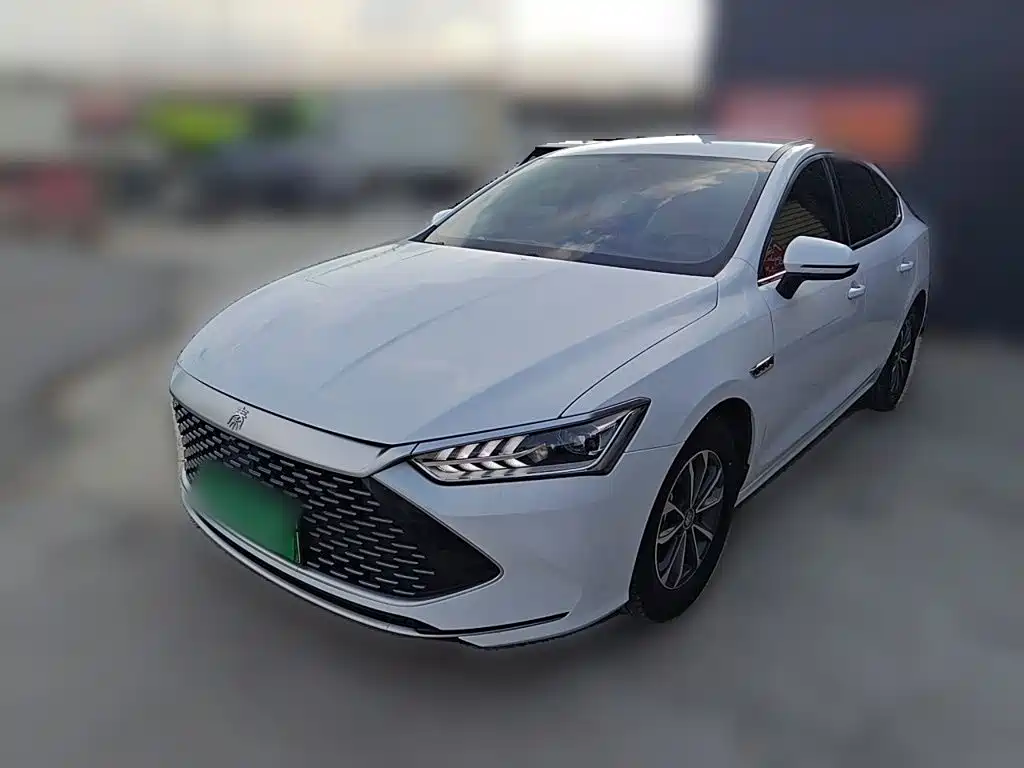 BYD Qin PLUS 2024 — фото 2