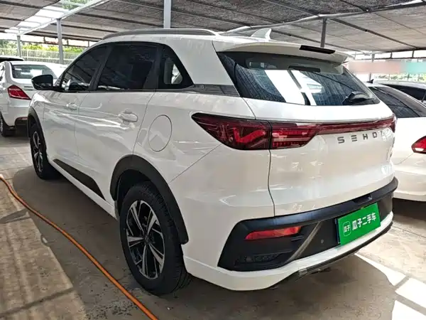 Sehol QX 2021