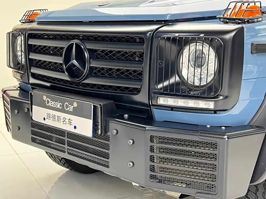 Mercedes-Benz G-Class 2016 — фото 14