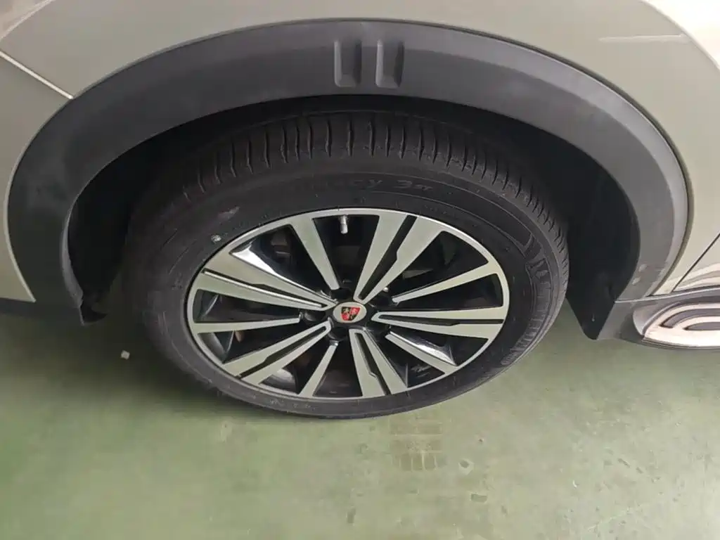 Roewe RX5 New Energy 2020 — фото 23