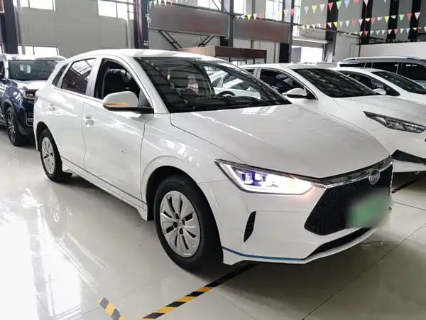 BYD e2 2020